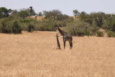 DSC_3530 (Large).JPG